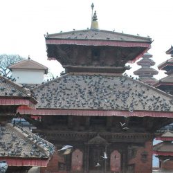 Distinctive Nepal Travels and Tours