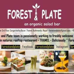 Forest & Plate