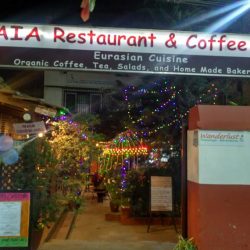 Gaia Restaurant & Coffee Shop(KTM), And Gaia Holiday Home(Dhulikhel)