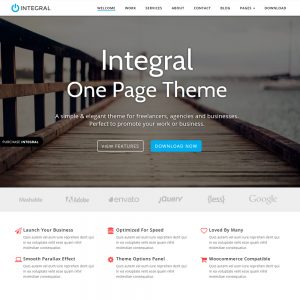 Integral – Beautiful Company Website