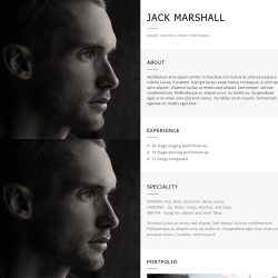 Resume – Beautiful Profile Website
