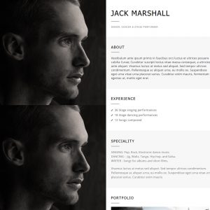 Resume – Beautiful Profile Website