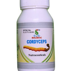 Cordyceps – Cordyceps sinensis powder | Supplement |  Holistic Health